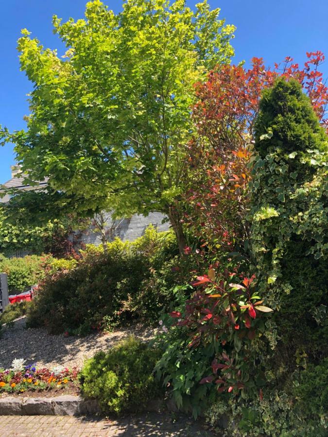 Amber Hill Bed & Breakfast Galway Eksteriør bilde