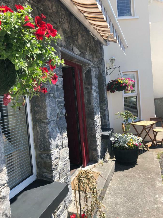 Amber Hill Bed & Breakfast Galway Eksteriør bilde